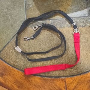 Leash to Walk 2 Dogs